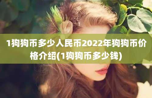 1狗狗币多少人民币2022年狗狗币价格介绍(1狗狗币多少钱)