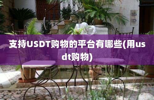 支持USDT购物的平台有哪些(用usdt购物)