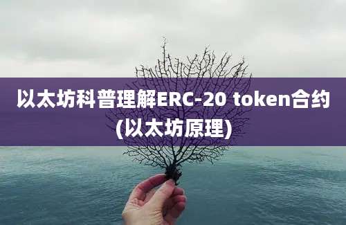 以太坊科普理解ERC-20 token合约(以太坊原理)