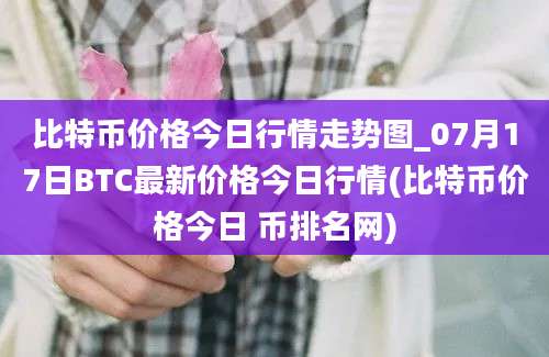 比特币价格今日行情走势图_07月17日BTC最新价格今日行情(比特币价格今日 币排名网)