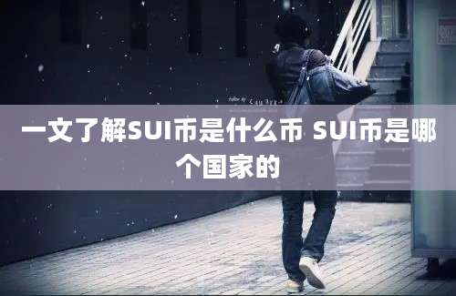 一文了解SUI币是什么币 SUI币是哪个国家的