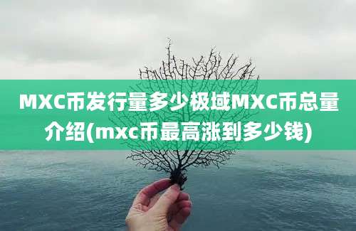 MXC币发行量多少极域MXC币总量介绍(mxc币最高涨到多少钱)