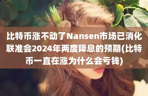 比特币涨不动了Nansen市场已消化联准会2024年两度降息的预期(比特币一直在涨为什么会亏钱)