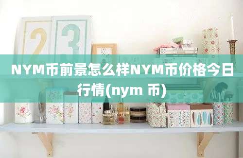 NYM币前景怎么样NYM币价格今日行情(nym 币)