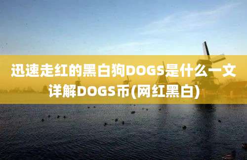 迅速走红的黑白狗DOGS是什么一文详解DOGS币(网红黑白)