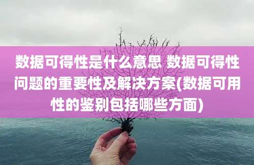 数据可得性是什么意思 数据可得性问题的重要性及解决方案(数据可用性的鉴别包括哪些方面)