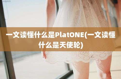 一文读懂什么是PlatONE(一文读懂什么是天使轮)