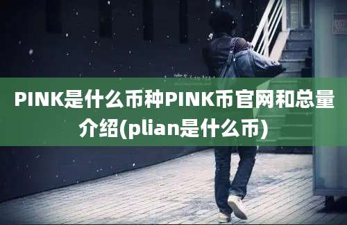 PINK是什么币种PINK币官网和总量介绍(plian是什么币)