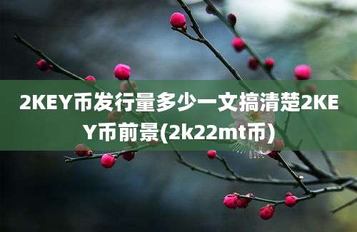 2KEY币发行量多少一文搞清楚2KEY币前景(2k22mt币)