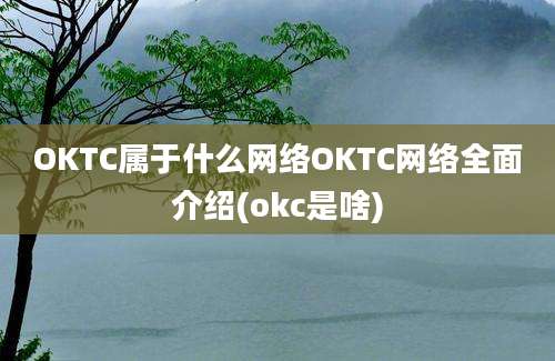 OKTC属于什么网络OKTC网络全面介绍(okc是啥)