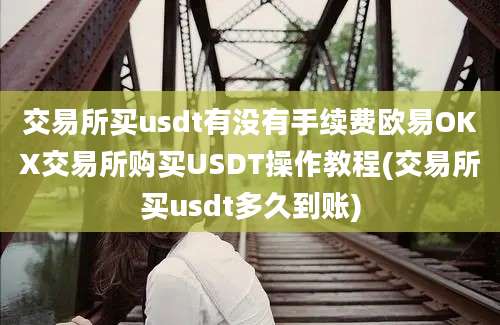 交易所买usdt有没有手续费欧易OKX交易所购买USDT操作教程(交易所买usdt多久到账)