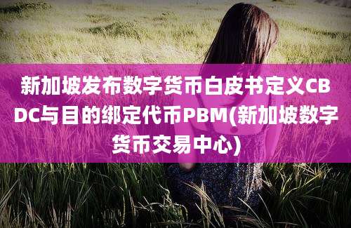 新加坡发布数字货币白皮书定义CBDC与目的绑定代币PBM(新加坡数字货币交易中心)