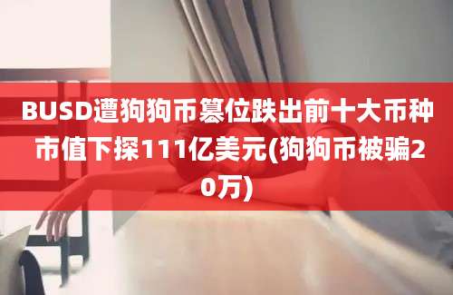 BUSD遭狗狗币篡位跌出前十大币种 市值下探111亿美元(狗狗币被骗20万)