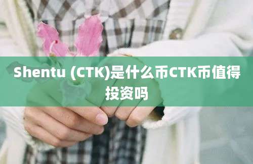 Shentu (CTK)是什么币CTK币值得投资吗