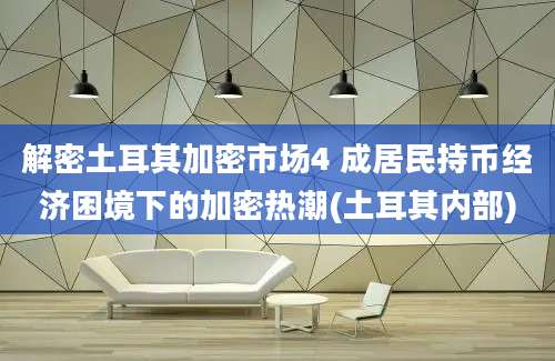 解密土耳其加密市场4 成居民持币经济困境下的加密热潮(土耳其内部)