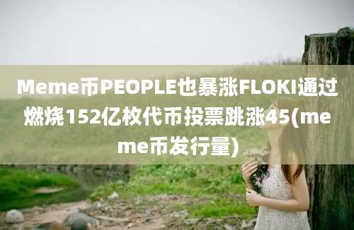 Meme币PEOPLE也暴涨FLOKI通过燃烧152亿枚代币投票跳涨45(meme币发行量)