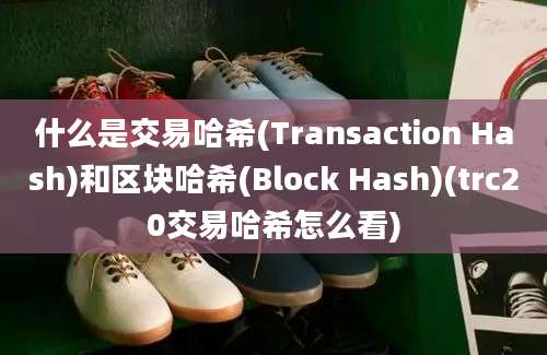 什么是交易哈希(Transaction Hash)和区块哈希(Block Hash)(trc20交易哈希怎么看)