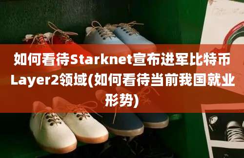 如何看待Starknet宣布进军比特币Layer2领域(如何看待当前我国就业形势)