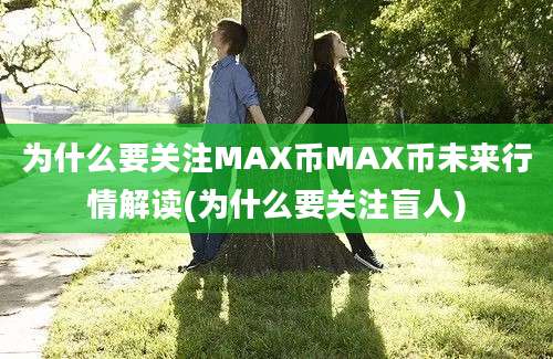 为什么要关注MAX币MAX币未来行情解读(为什么要关注盲人)