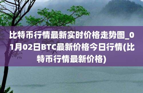 比特币行情最新实时价格走势图_01月02日BTC最新价格今日行情(比特币行情最新价格)