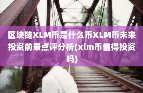 区块链XLM币是什么币XLM币未来投资前景点评分析(xlm币值得投资吗)