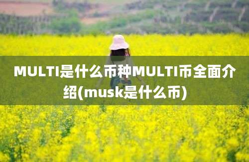 MULTI是什么币种MULTI币全面介绍(musk是什么币)