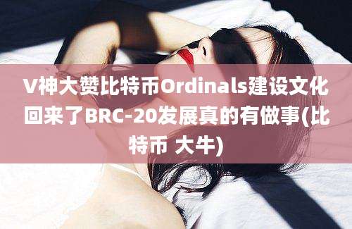 V神大赞比特币Ordinals建设文化回来了BRC-20发展真的有做事(比特币 大牛)