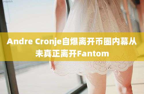 Andre Cronje自爆离开币圈内幕从未真正离开Fantom