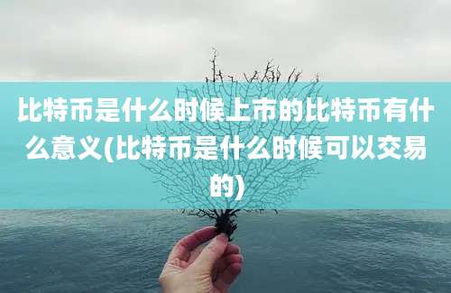 比特币是什么时候上市的比特币有什么意义(比特币是什么时候可以交易的)