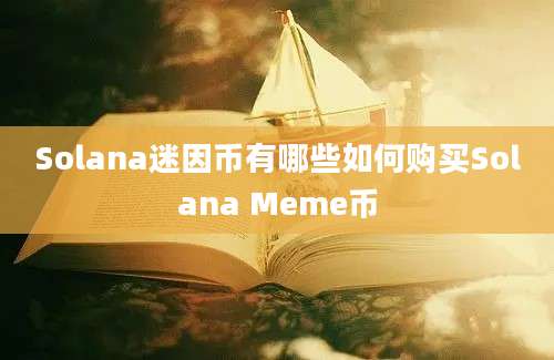 Solana迷因币有哪些如何购买Solana Meme币