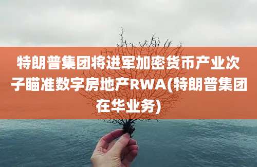 特朗普集团将进军加密货币产业次子瞄准数字房地产RWA(特朗普集团在华业务)