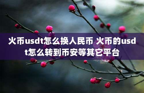 火币usdt怎么换人民币 火币的usdt怎么转到币安等其它平台