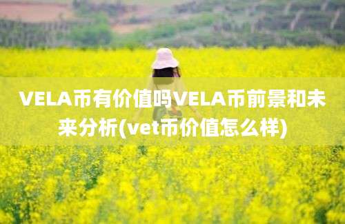 VELA币有价值吗VELA币前景和未来分析(vet币价值怎么样)