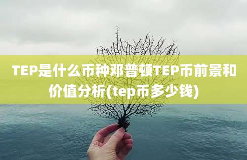 TEP是什么币种邓普顿TEP币前景和价值分析(tep币多少钱)