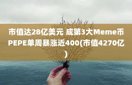 市值达28亿美元 成第3大Meme币PEPE单周暴涨近400(市值4270亿)