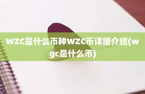 WZC是什么币种WZC币详细介绍(wgc是什么币)