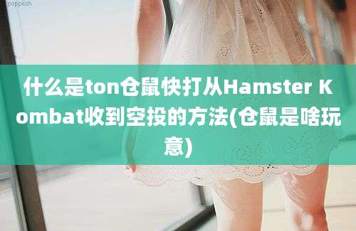 什么是ton仓鼠快打从Hamster Kombat收到空投的方法(仓鼠是啥玩意)