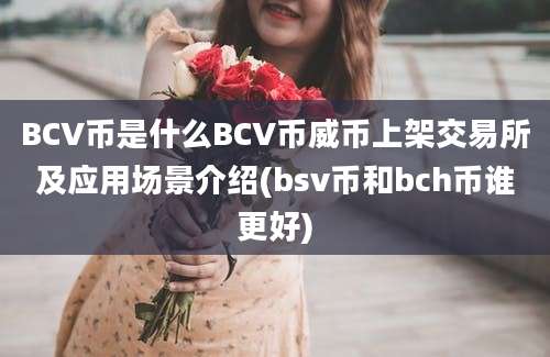 BCV币是什么BCV币威币上架交易所及应用场景介绍(bsv币和bch币谁更好)