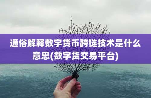 通俗解释数字货币跨链技术是什么意思(数字货交易平台)