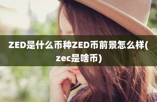 ZED是什么币种ZED币前景怎么样(zec是啥币)