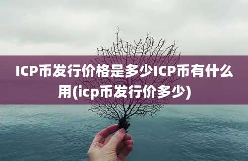 ICP币发行价格是多少ICP币有什么用(icp币发行价多少)