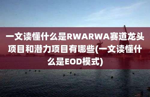 一文读懂什么是RWARWA赛道龙头项目和潜力项目有哪些(一文读懂什么是EOD模式)