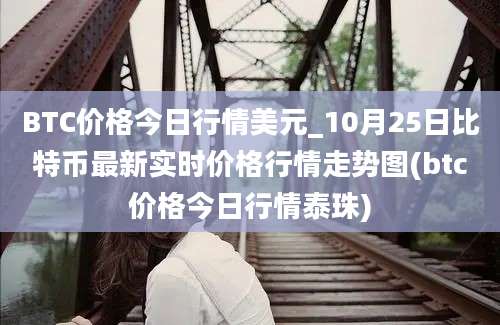 BTC价格今日行情美元_10月25日比特币最新实时价格行情走势图(btc价格今日行情泰珠)