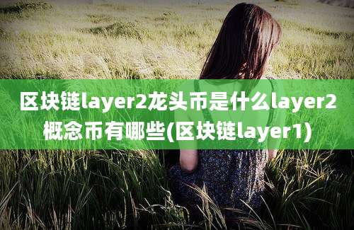 区块链layer2龙头币是什么layer2概念币有哪些(区块链layer1)