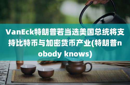 VanEck特朗普若当选美国总统将支持比特币与加密货币产业(特朗普nobody knows)