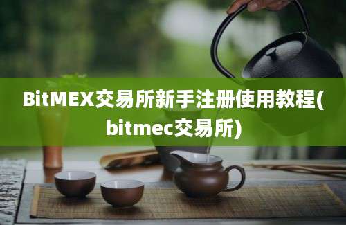 BitMEX交易所新手注册使用教程(bitmec交易所)