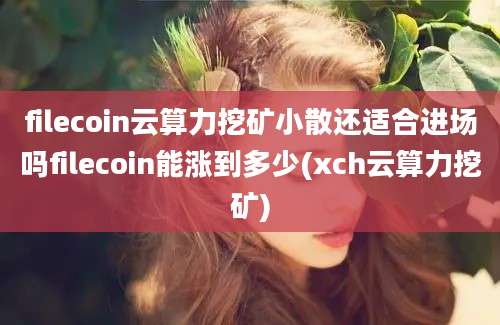 filecoin云算力挖矿小散还适合进场吗filecoin能涨到多少(xch云算力挖矿)