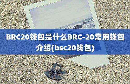 BRC20钱包是什么BRC-20常用钱包介绍(bsc20钱包)