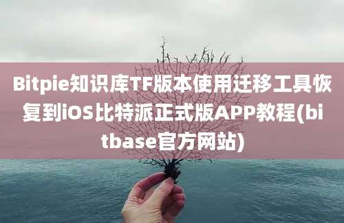 Bitpie知识库TF版本使用迁移工具恢复到iOS比特派正式版APP教程(bitbase官方网站)