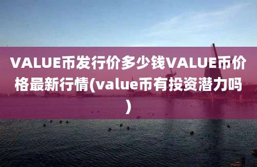 VALUE币发行价多少钱VALUE币价格最新行情(value币有投资潜力吗)